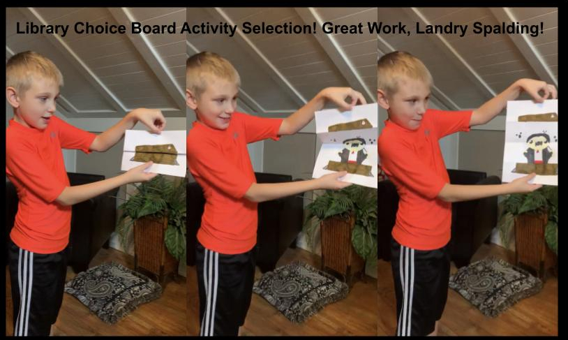 Library Choice Board Selection