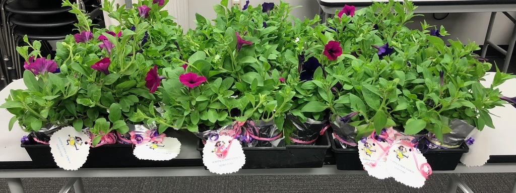 flowers