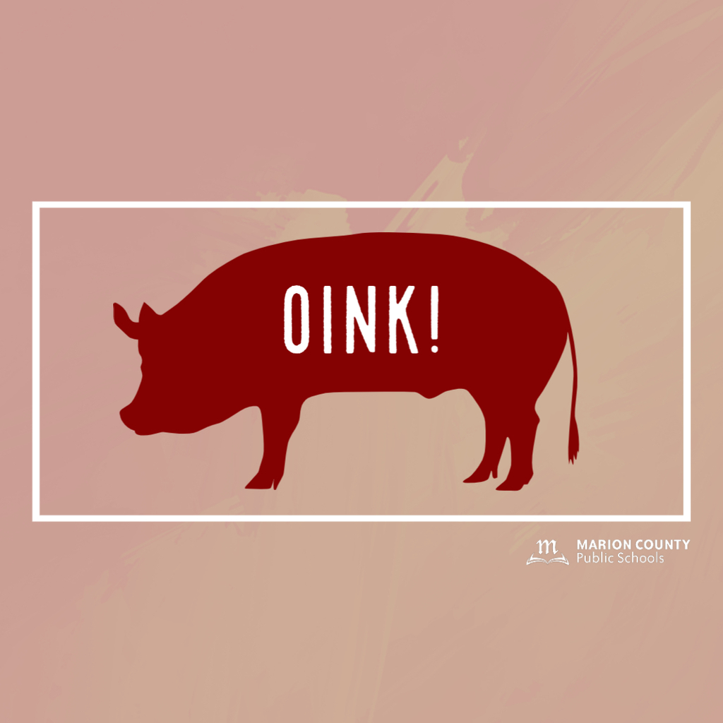 Pig